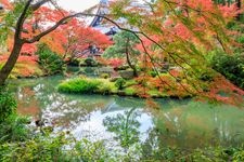 Tourist destination images of Konkai Komyo-ji Temple(5)