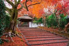 Tourist destination images of Anrakuji Temple(2)