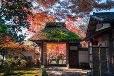 Tourist destination images of Anrakuji Temple(3)