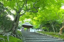 Tourist destination images of Anrakuji Temple(5)