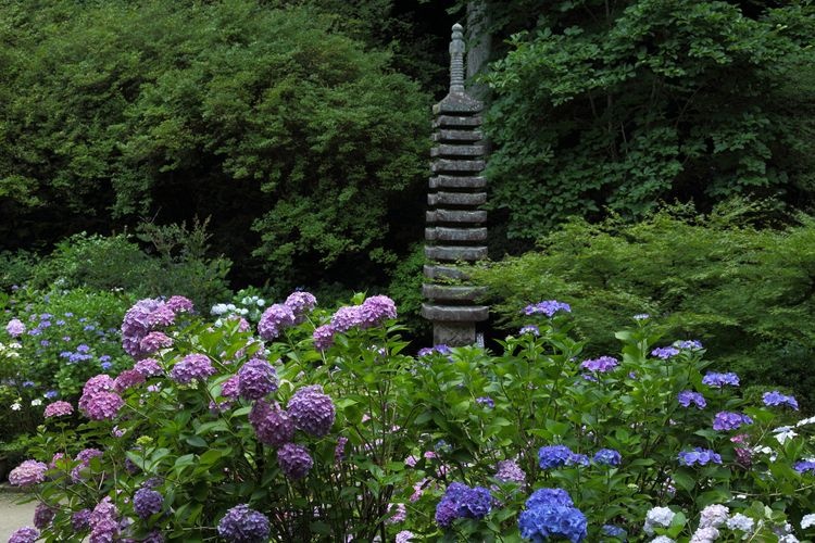 Floating Island Thirteen-Story Stone Pagoda