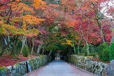 Tourist destination images of Koushouji Temple(3)