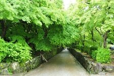 Tourist destination images of Koushouji Temple(4)