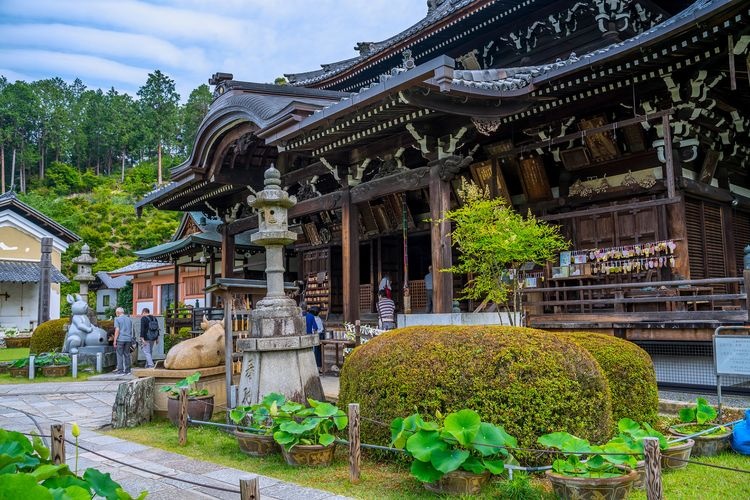 Mimuroto-ji Temple 2