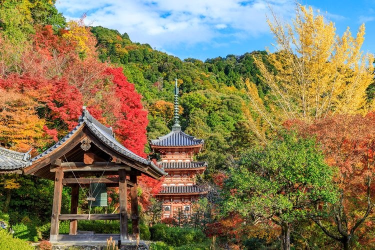 Mimuroto-ji Temple 3