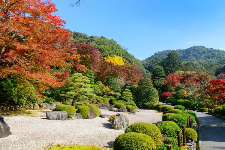 Mimuroto-ji Temple 4