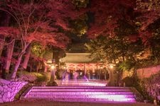 Tourist destination images of Kanshin-ji Temple(4)