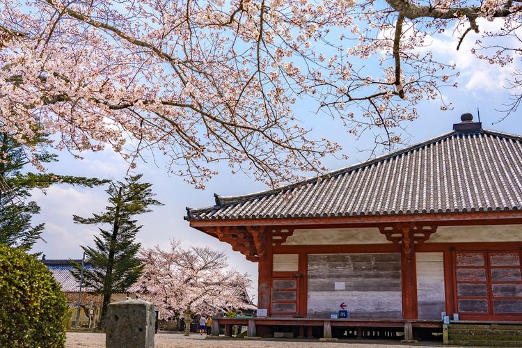 Jodoji Temple