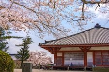 Tourist destination images of Jodoji Temple(1)