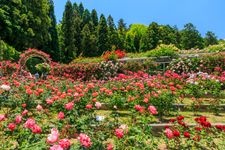 Tourist destination images of Ryosenji Temple(1)