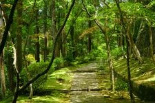 Tourist destination images of Ryosenji Temple(3)