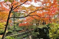 Tourist destination images of Negoro-ji Temple(4)