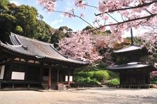 Tourist destination images of Chohoji Temple(4)