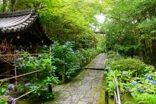 Tourist destination images of Konchiin Temple(5)