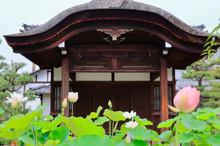 法金剛院 4