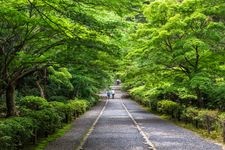 Tourist destination images of Nison-in Temple(3)