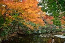 Tourist destination images of Sokushin-in Temple(1)