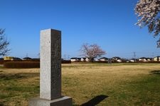 Tourist destination images of Hitachi Kokubunji Temple(1)