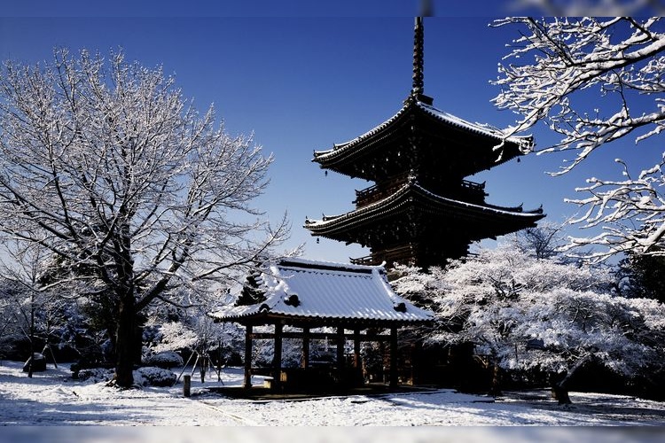 Shinsho Gokuraku-ji Temple (Shinnyodo)