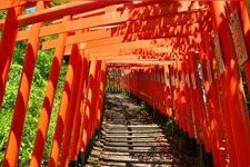 扇森稻荷神社的旅游景点图片(2)