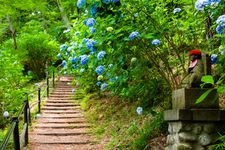 Tourist destination images of Takahatayama Myōōin Kongōji Temple (Takahata Fudōson)(1)