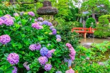 Tourist destination images of Takahatayama Myōōin Kongōji Temple (Takahata Fudōson)(1)