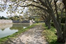 Tourist destination images of Hagi Castle Ruins(5)