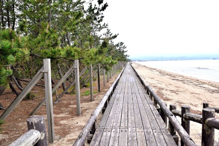 Tourist destination images of Himi City Seaside Park (Himi City Kaihin Shokubutsuen)(2)
