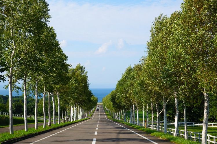 Panorama Road Ehana