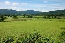 Tourist destination images of Buckwheat Flower Viewpoint(1)