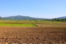 Tourist destination images of Buckwheat Flower Viewpoint(2)