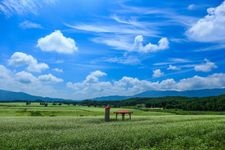 Tourist destination images of Buckwheat Flower Viewpoint(3)