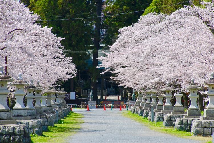 Soma Nakamura Shrine 3