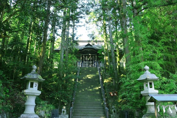 Soma Nakamura Shrine 4