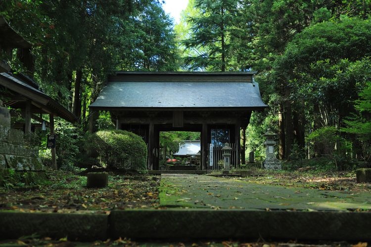 馬場都々古別神社