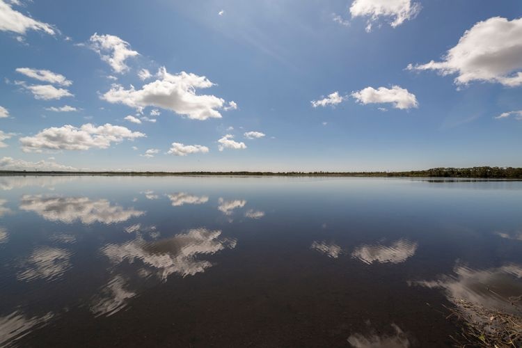 ウトナイ湖の観光地画像(3)
