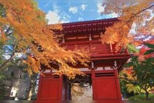 Tourist destination images of Hondo-ji Temple(2)