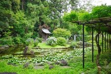 Tourist destination images of Hondo-ji Temple(6)