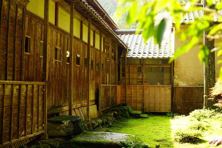 叡智之杜（苔之里）的觀光地圖片(2)