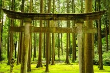 叡智之杜（苔之里）的觀光地圖片(3)