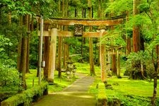 叡智之杜（苔之里）的觀光地圖片(4)