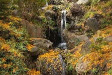 Tourist destination images of Sudo Park(1)