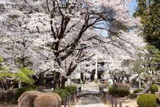 Tourist destination images of Eirinji Temple(6)