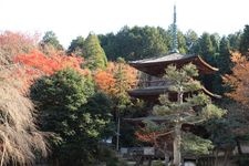 清瀧寺徳源院の観光地画像(2)