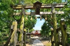 Tourist destination images of Ikkooka Hachiman-gu Shrine(1)