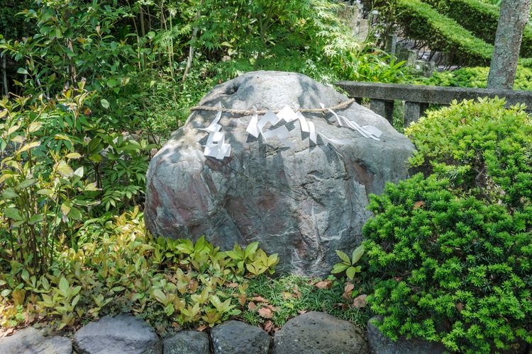 Ebara Tenjin Shrine