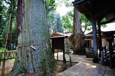 Tourist destination images of Shinkai Sansha Shrine(4)