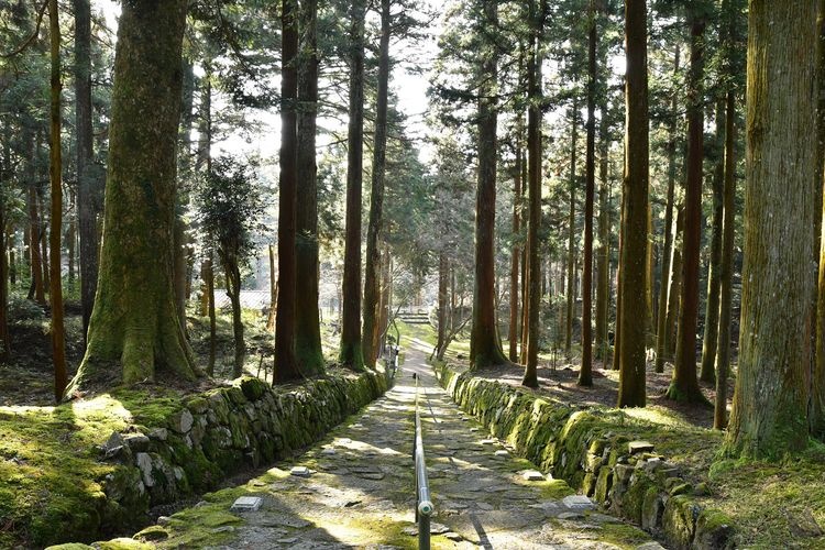 Kinshoji Temple