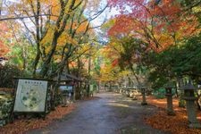 Tourist destination images of Atago Shrine(1)