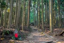 Tourist destination images of Atago Shrine(4)